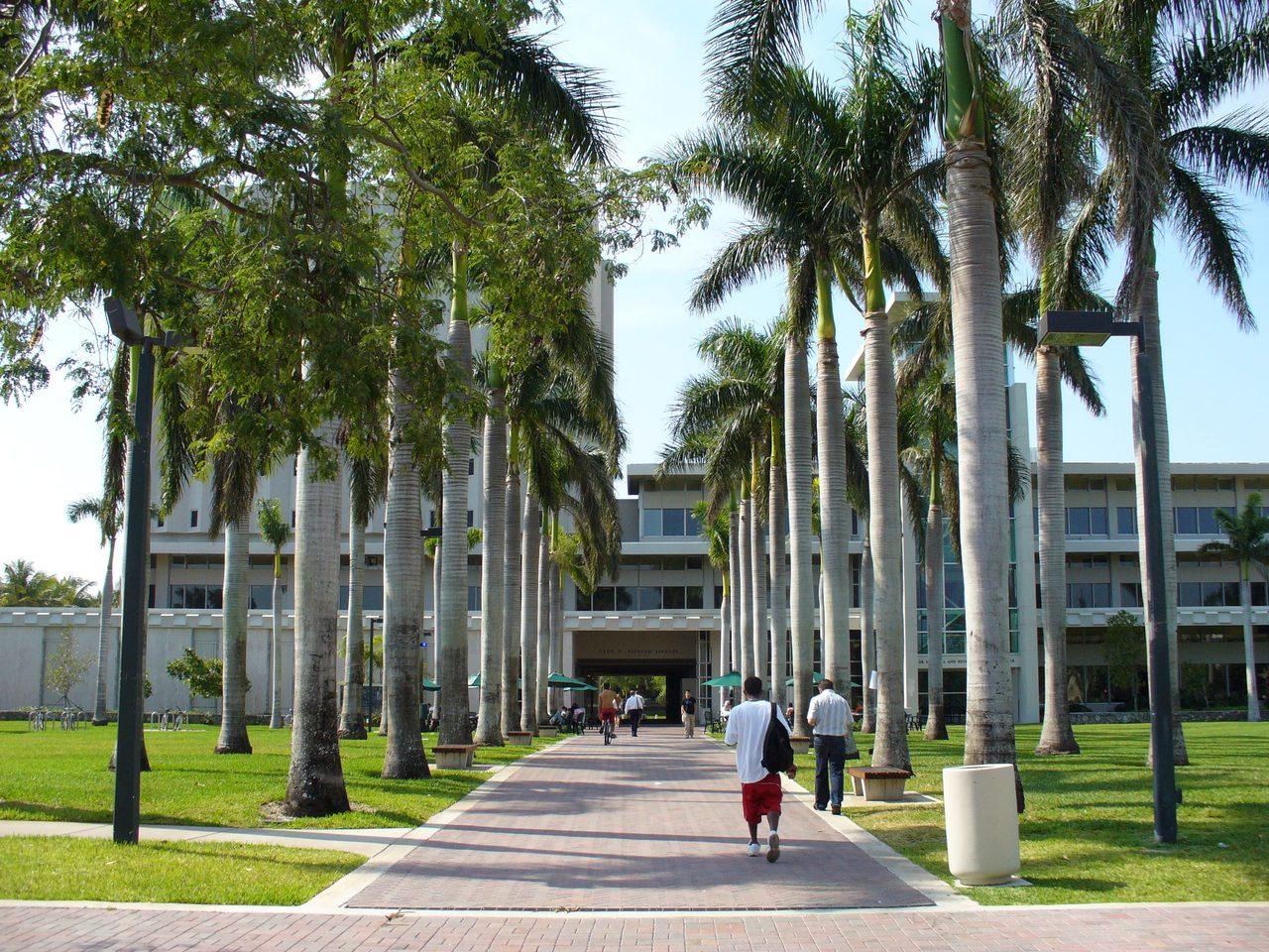 迈阿密大学